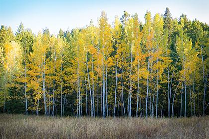 020年元旦1月1日出生五行缺土100分宝宝名字精选！"