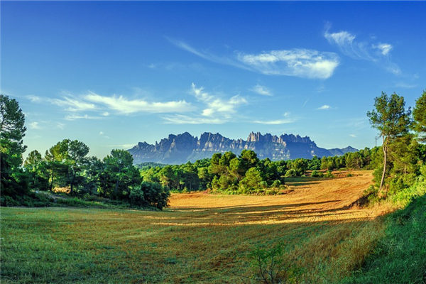 公历2024年8月6日是农历几月几日