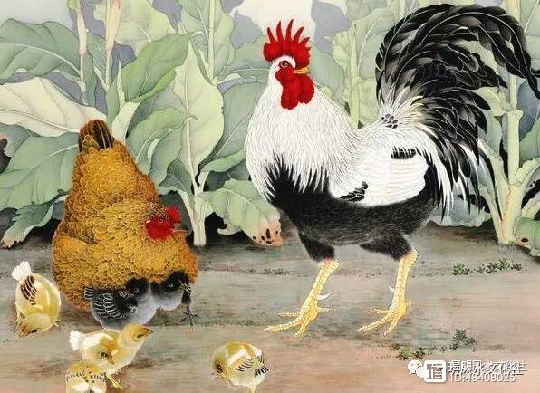 005年属鸡的人2021年运程