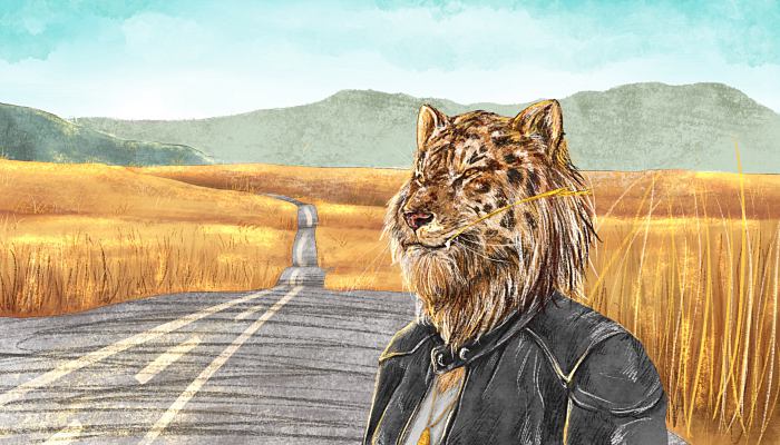 2022年是红虎年吗 2022年出生的属虎人命运怎么样