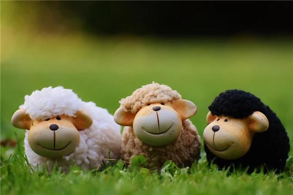 属羊2021年运势及运程 属羊人2021全年每月运程