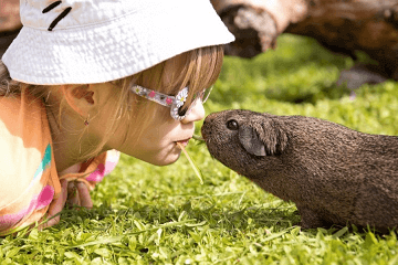 免费查姓名测试打分