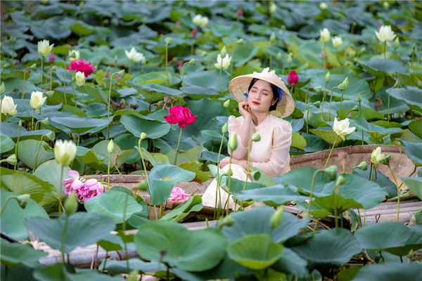 生肖牛2023年兔年运势