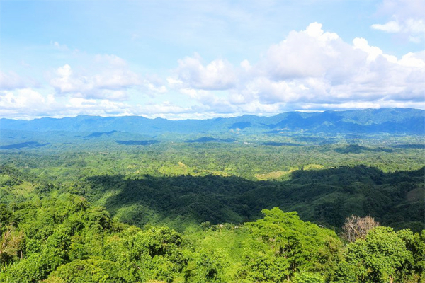 024年2月12日是不是黄道吉日"