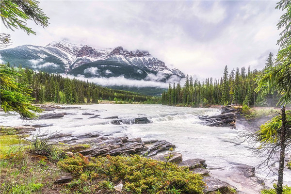 024年阴历2月9日是不是黄道吉日"