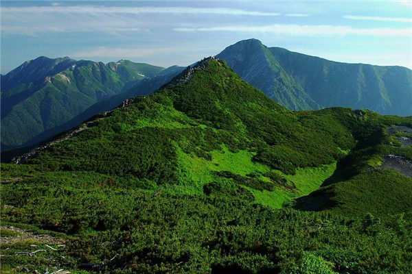 公历2024年2月5日是农历几月几日