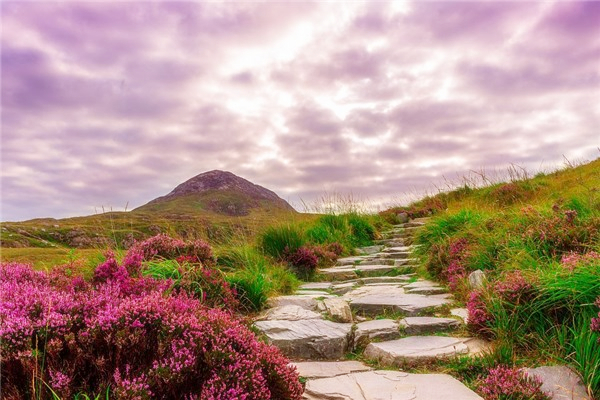 024年2月15日是黄道吉日吗"