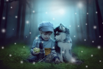 好听的何姓男孩名字大全2021