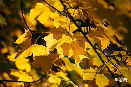 023年农历六月有几天是办满月酒的黄道吉日呢(2天)"