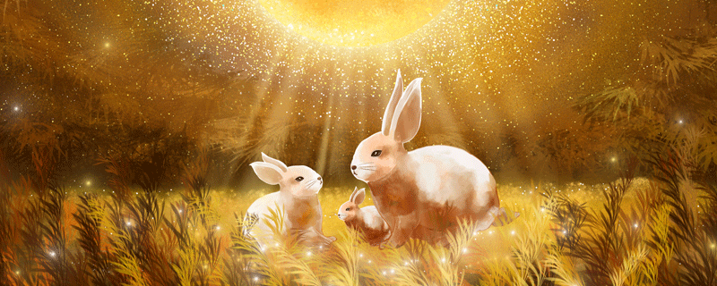 1975属兔在2021运命及运程 1975年属兔2021年运势每月运程解析