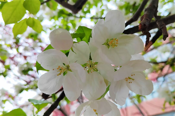 021年6月搬家入宅黄道吉日一览表,搬家吉日查询"