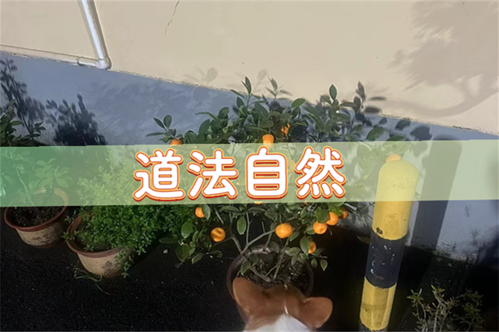 宜提车的黄道吉日2025，2025年4月提车吉日