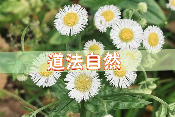 025年老黄历4月份搬家吉日，2025年4月份乔迁黄道吉日"