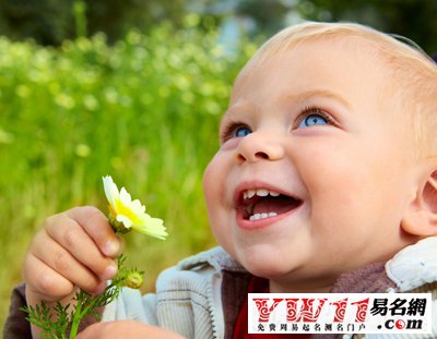 带火字旁的字有哪些