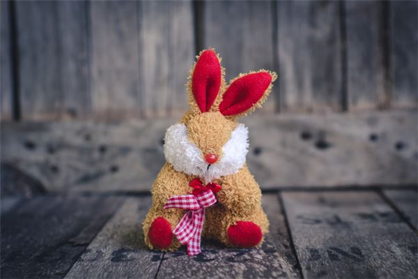 属兔2021年运势及运程 属兔人2021全年每月运程