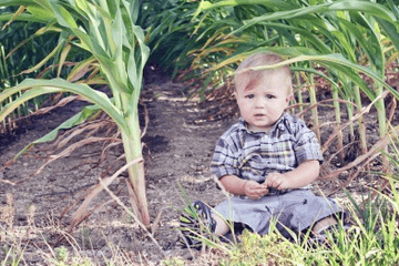 宝宝起名大全免费取名