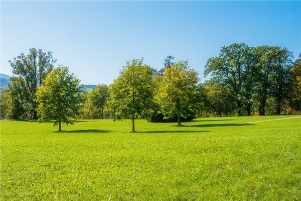 024年2月14日是黄道吉日吗"