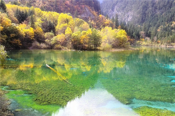 024年阴历3月19日是不是黄道吉日"