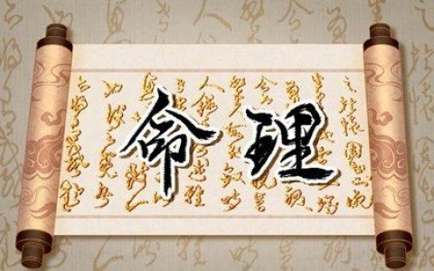 属羊的人一生命运如何