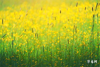 023年六月十一是黄道吉日吗,7月28日时辰吉凶查询"