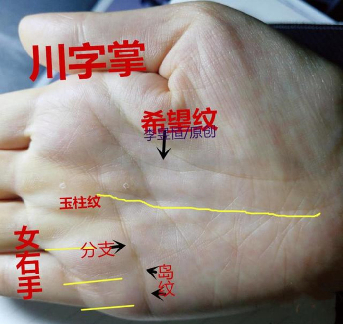 ?手相：爪字纹、一马平川、天纹朝指，十人九富！