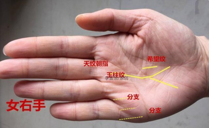 ?手相：爪字纹、一马平川、天纹朝指，十人九富！